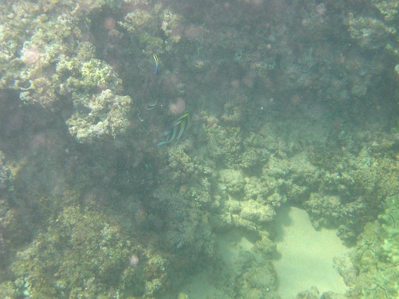 Picture 084